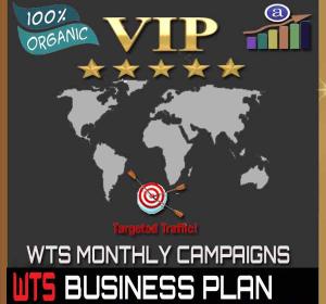 Vip Web Traffic Monthly Campaign - Business Plan - 50k Visitors