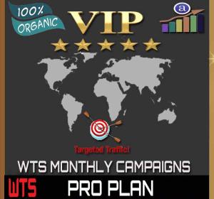 Vip Web Traffic Monthly Campaign - Pro Plan - 100k Visitors