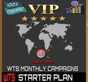 Vip Web Traffic Monthly Campaign - Starter Plan - 30k Visitors