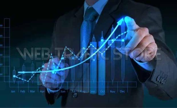 How Web Traffic Store Supports Adaptive Marketing?